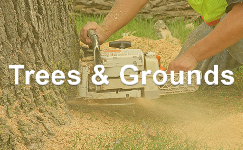 Trees and Grounds Our trees and grounds services